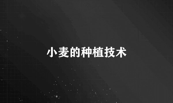 小麦的种植技术