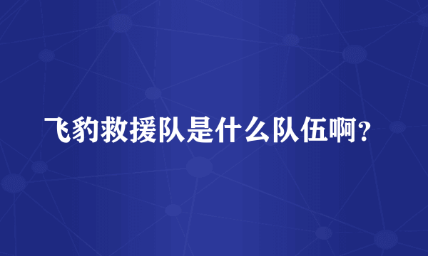 飞豹救援队是什么队伍啊？