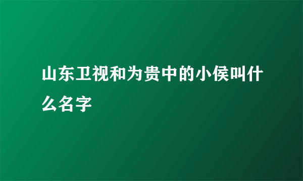 山东卫视和为贵中的小侯叫什么名字