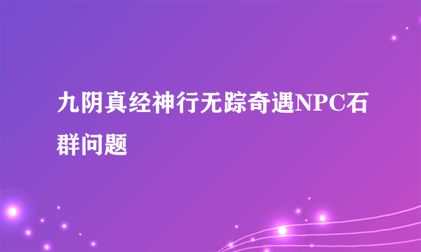 九阴真经神行无踪奇遇NPC石群问题