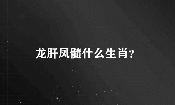 龙肝凤髓什么生肖？