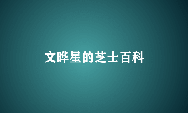 文晔星的芝士百科