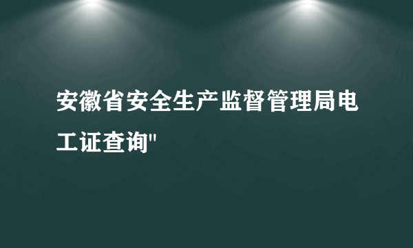 安徽省安全生产监督管理局电工证查询