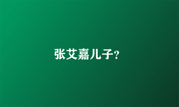 张艾嘉儿子？