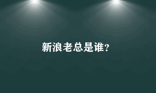 新浪老总是谁？