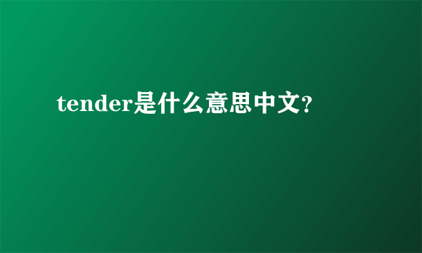 tender是什么意思中文？