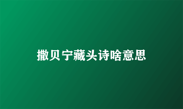 撒贝宁藏头诗啥意思