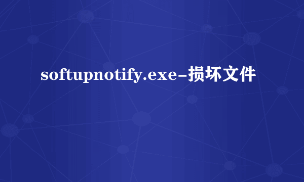 softupnotify.exe-损坏文件