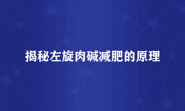 揭秘左旋肉碱减肥的原理
