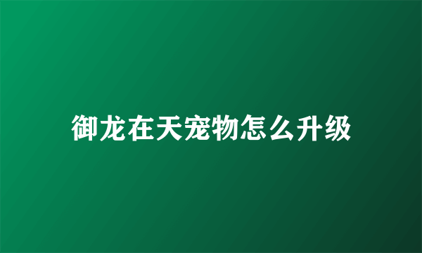 御龙在天宠物怎么升级