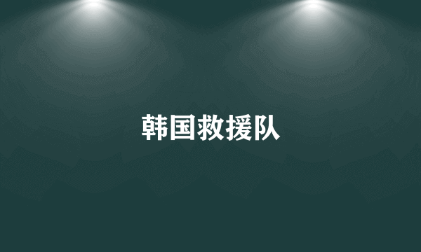 韩国救援队