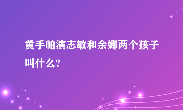 黄手帕演志敏和余娜两个孩子叫什么?