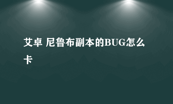 艾卓 尼鲁布副本的BUG怎么卡
