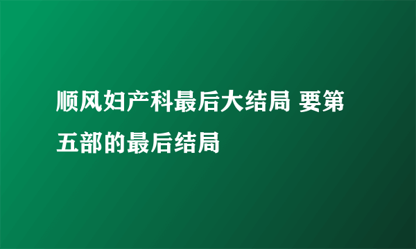 顺风妇产科最后大结局 要第五部的最后结局