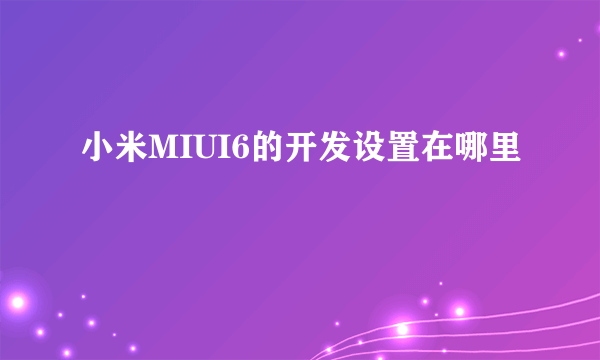 小米MIUI6的开发设置在哪里
