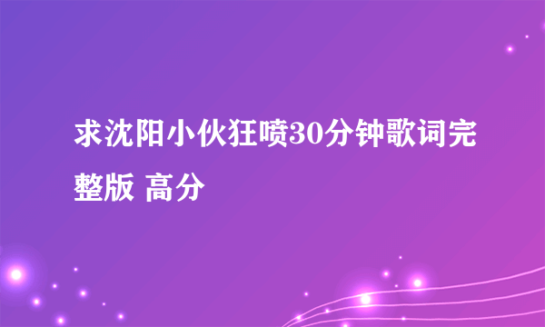 求沈阳小伙狂喷30分钟歌词完整版 高分
