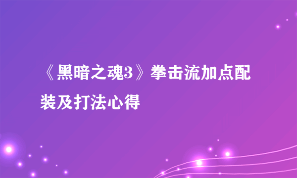 《黑暗之魂3》拳击流加点配装及打法心得