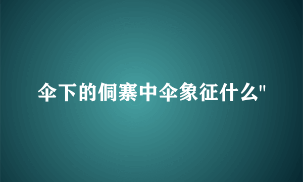 伞下的侗寨中伞象征什么