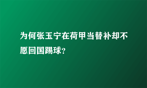 为何张玉宁在荷甲当替补却不愿回国踢球？
