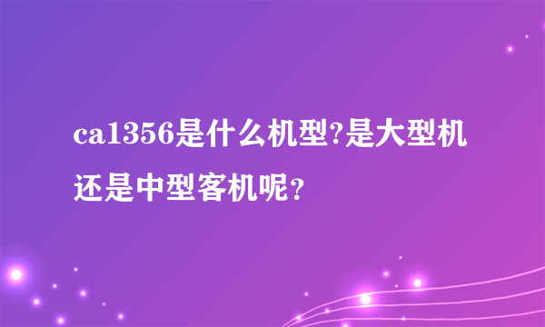 ca1356是什么机型?是大型机还是中型客机呢？
