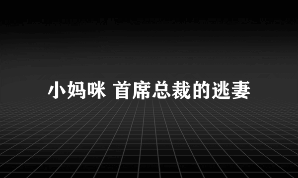 小妈咪 首席总裁的逃妻
