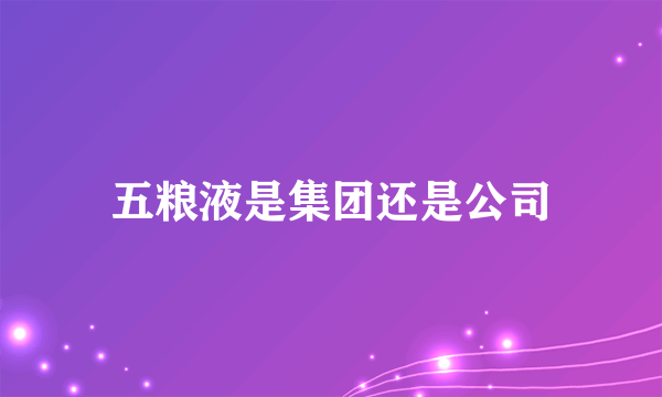 五粮液是集团还是公司