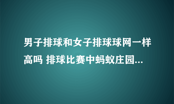 男子排球和女子排球球网一样高吗 排球比赛中蚂蚁庄园8.6答案