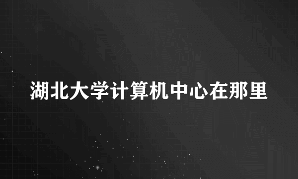 湖北大学计算机中心在那里
