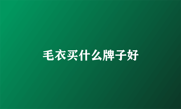 毛衣买什么牌子好