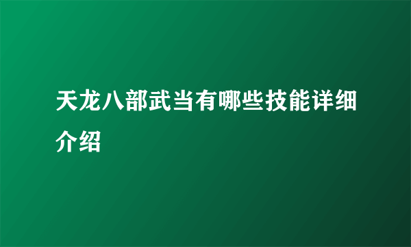 天龙八部武当有哪些技能详细介绍