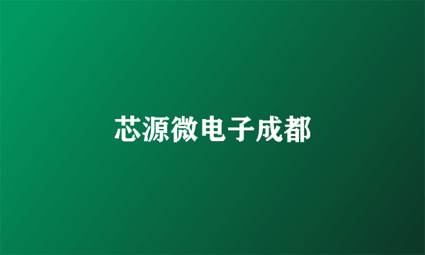 芯源微电子成都