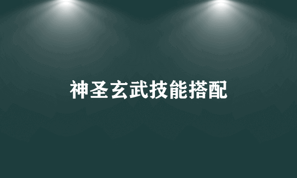 神圣玄武技能搭配