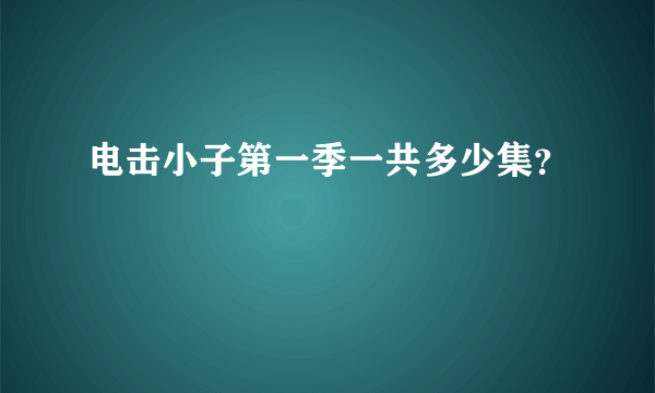 电击小子第一季一共多少集？