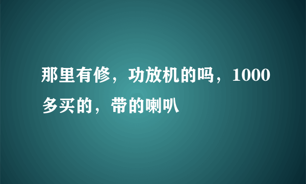 那里有修，功放机的吗，1000多买的，带的喇叭