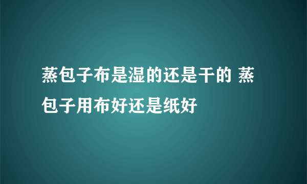 蒸包子布是湿的还是干的 蒸包子用布好还是纸好