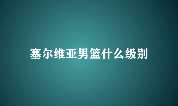 塞尔维亚男篮什么级别