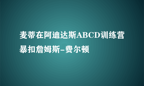 麦蒂在阿迪达斯ABCD训练营暴扣詹姆斯-费尔顿