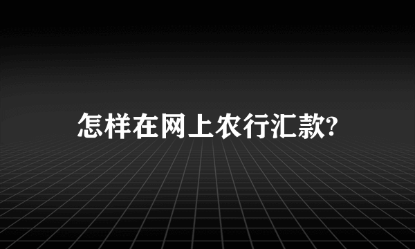 怎样在网上农行汇款?
