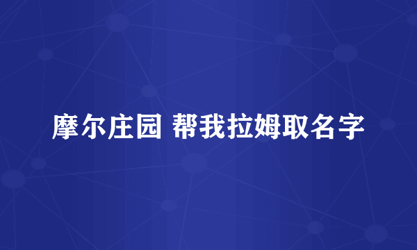 摩尔庄园 帮我拉姆取名字