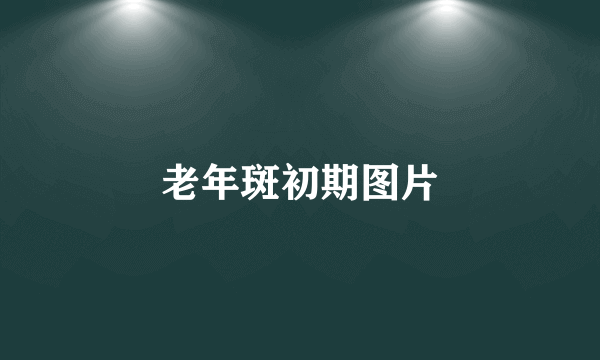 老年斑初期图片