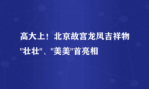 高大上！北京故宫龙凤吉祥物
