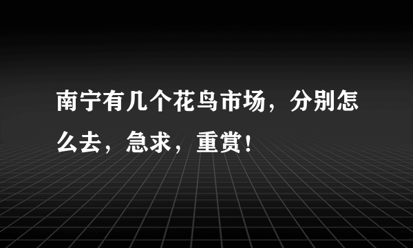 南宁有几个花鸟市场，分别怎么去，急求，重赏！