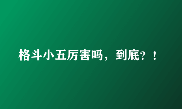 格斗小五厉害吗，到底？！