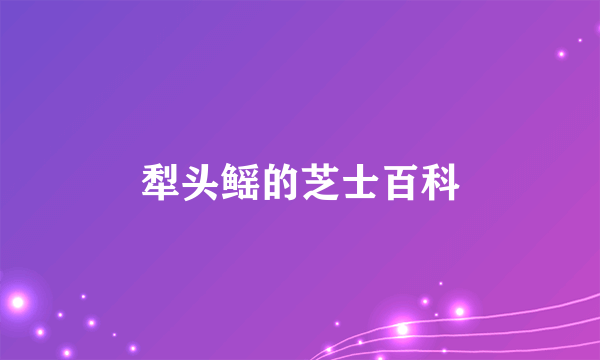 犁头鳐的芝士百科