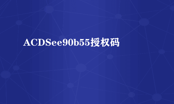 ACDSee90b55授权码