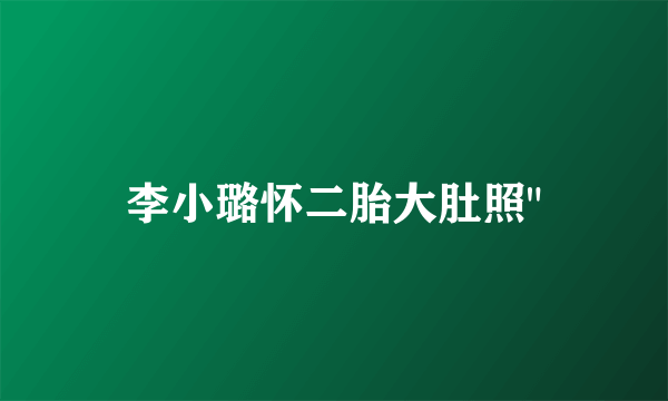 李小璐怀二胎大肚照