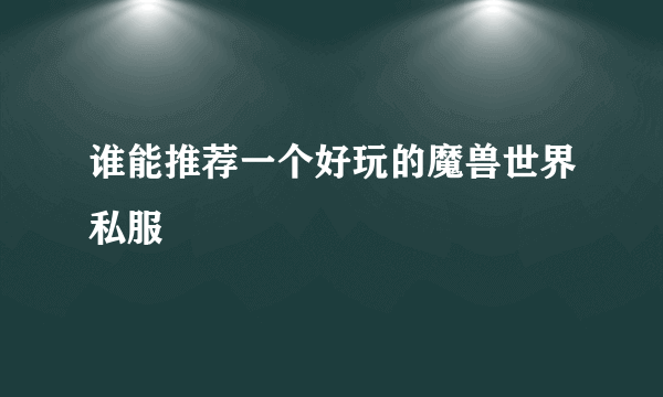 谁能推荐一个好玩的魔兽世界私服