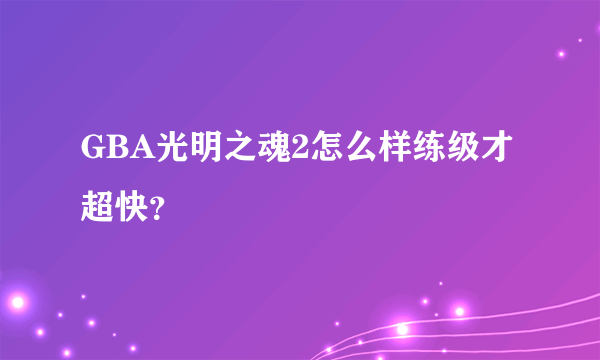 GBA光明之魂2怎么样练级才超快？