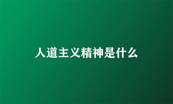 人道主义精神是什么