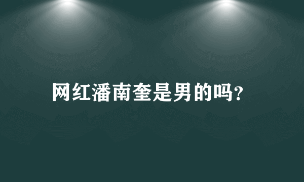 网红潘南奎是男的吗？